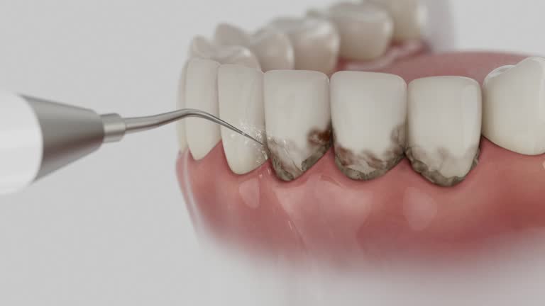 Reliable Dental contractor in North Fork, CA by Dentist Open Now
